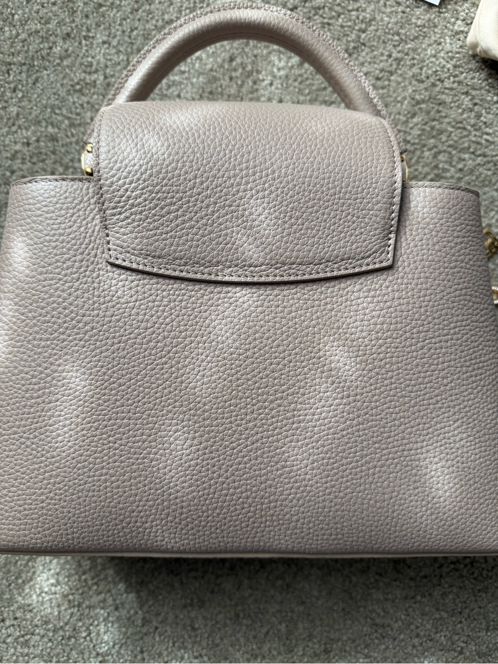 Louis Vuitton Pink Taupe Capucines Shoulder bag - Picture 9 of 16